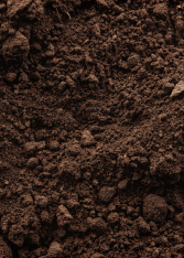 Soil